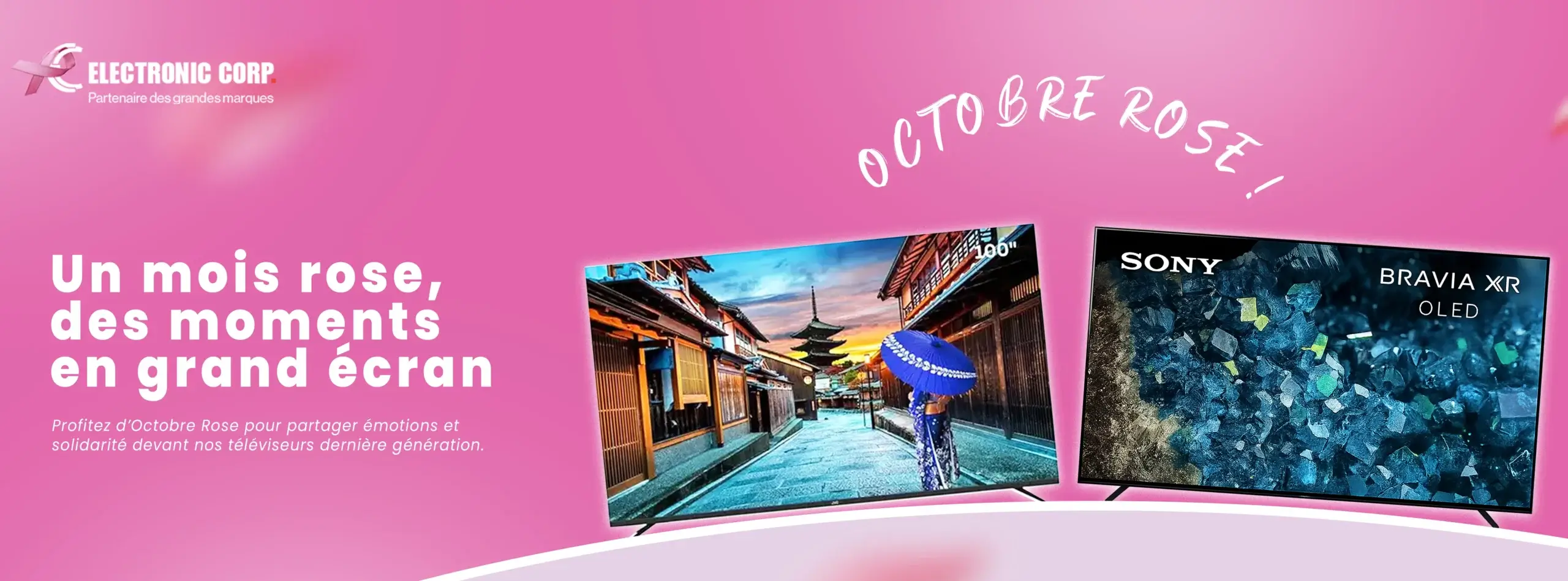 BANNIERE 1 TELE OCT ROSE
