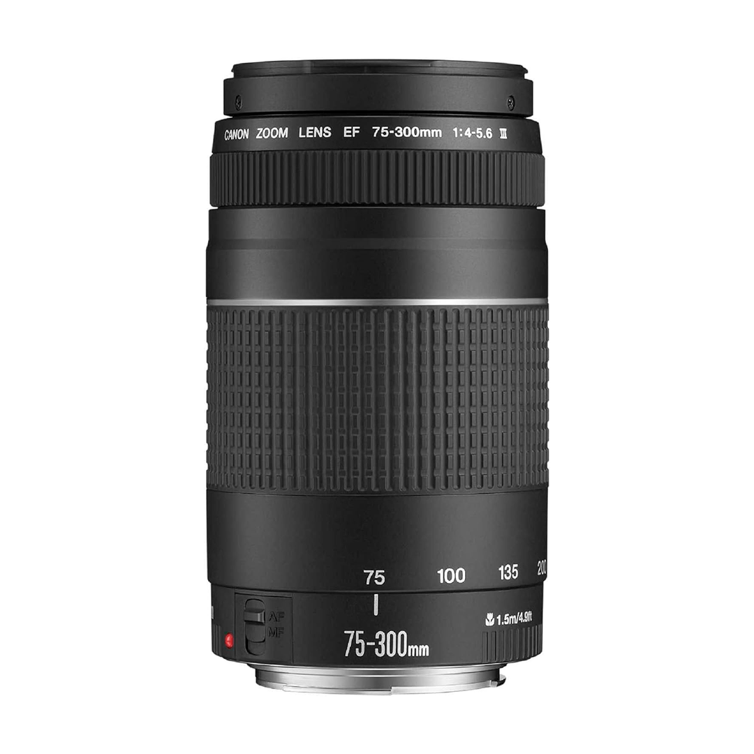 Zoom Appareil Photo Canon Efs 75-300mm f/4-5.6 III